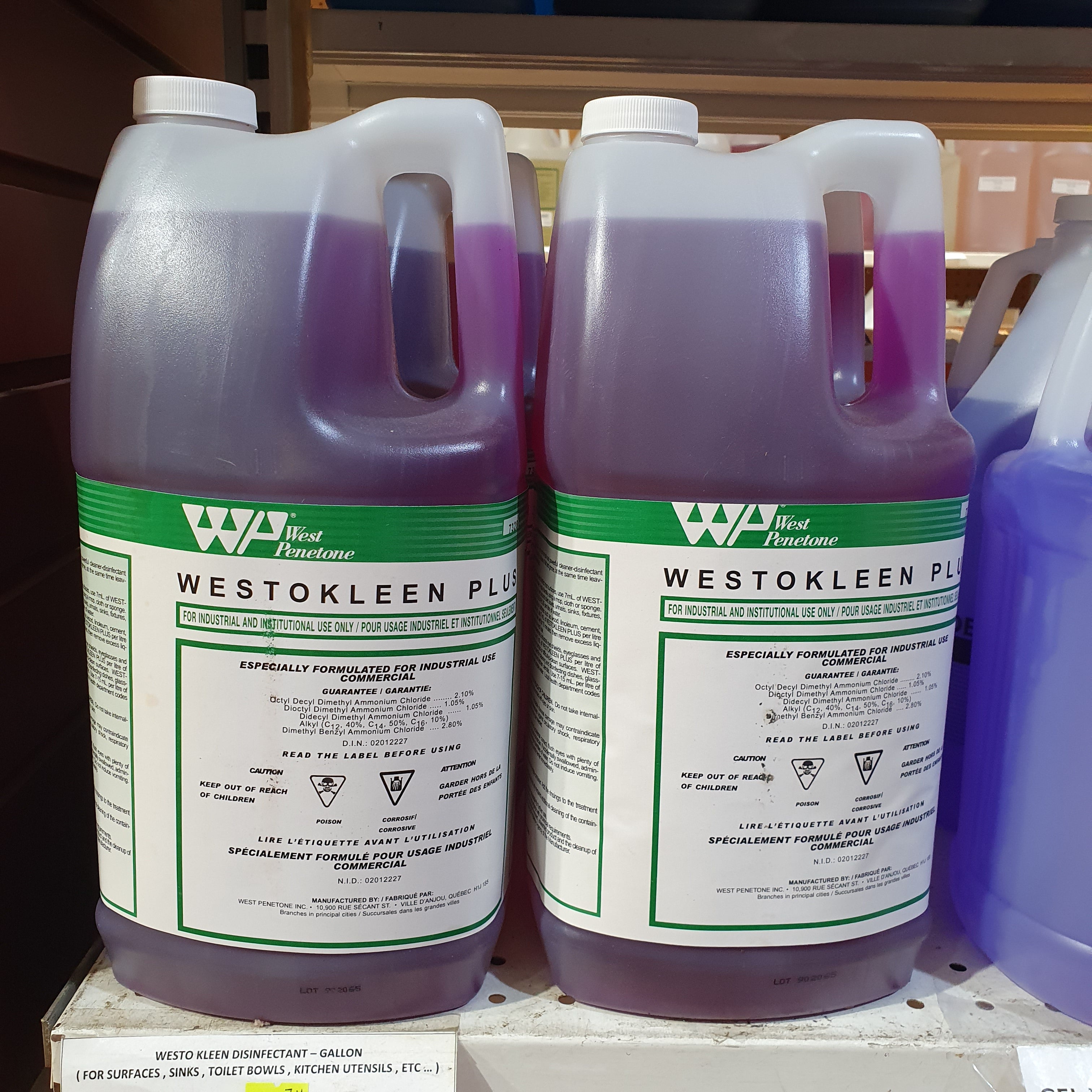 WESTO KLEEN DISINFECTANT - GALLON